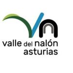 Logo Valle del Nalón Fetumi