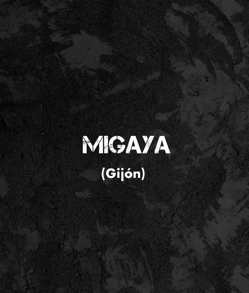 CARTELES EXPOSITORES Migaya