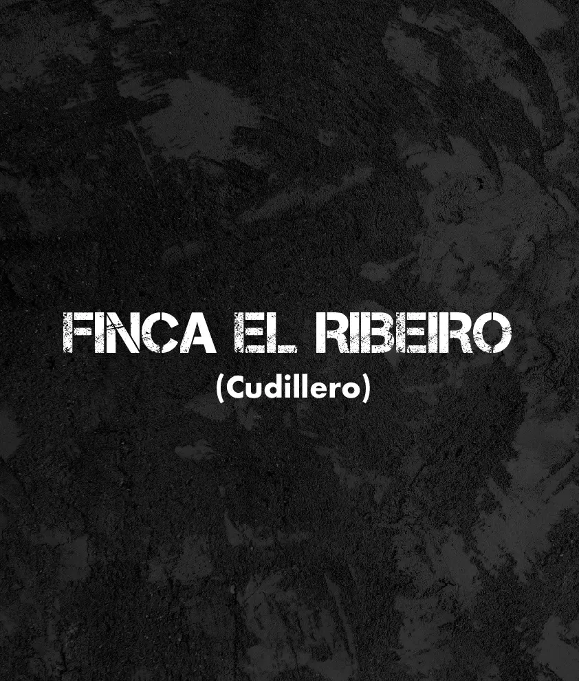 CARTELES EXPOSITORES Finca el Ribeiro