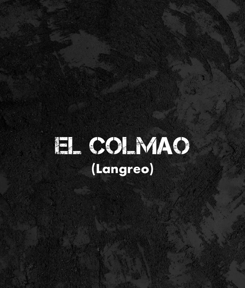 CARTELES EXPOSITORES El Colmao