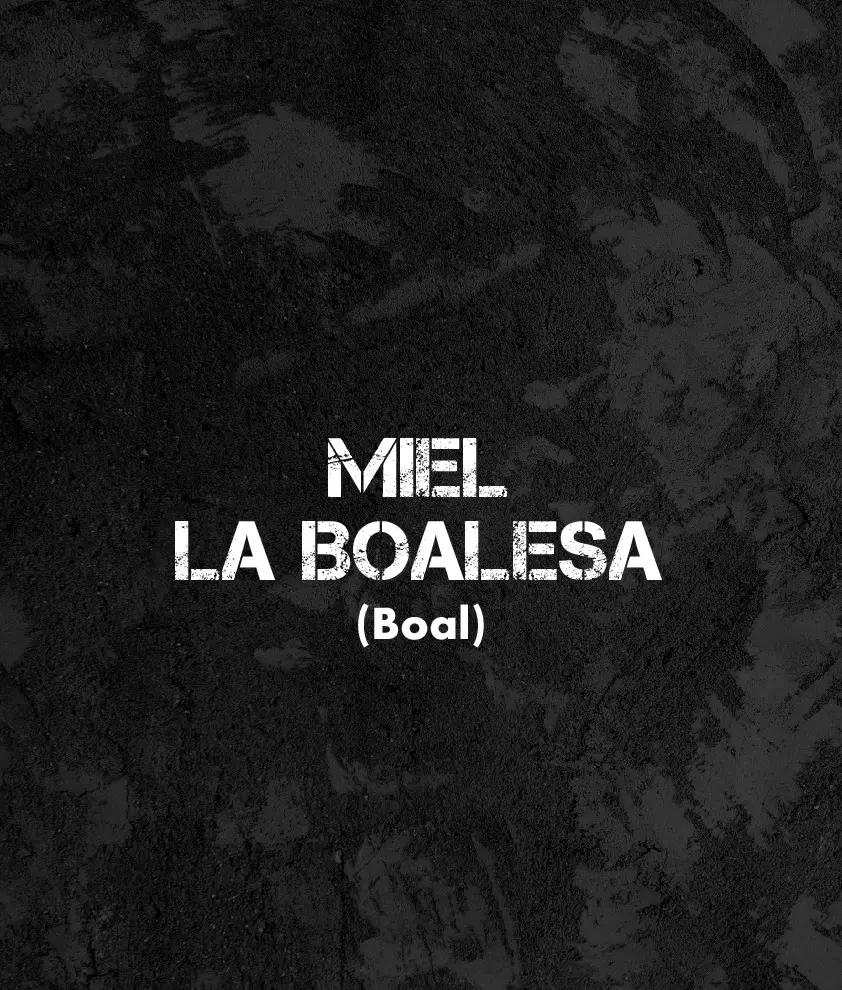 CARTELES EXPOSITORES Miel La Boalesa